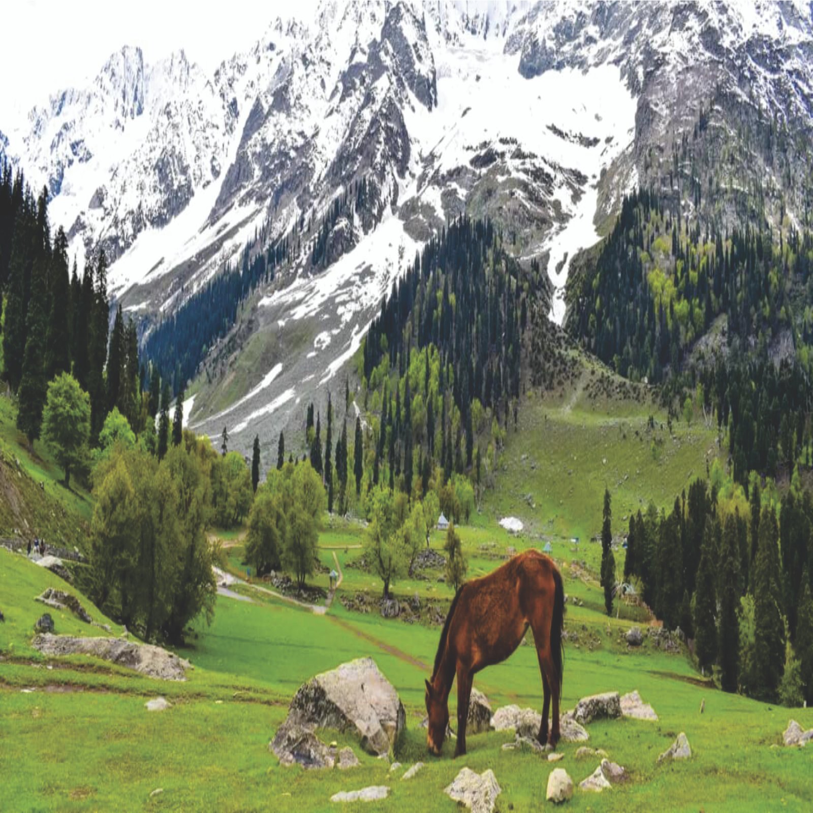 Jammu & Kashmir Tour Package - S.P. Travels India